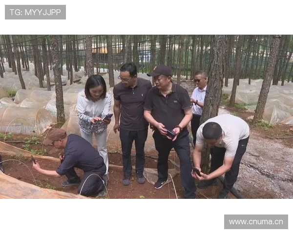 丽江企业家奋力打造高原特色产业助推地方经济高质量发展