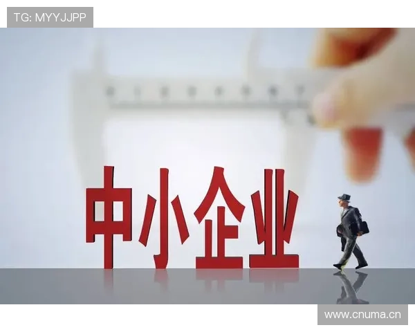 中国企业家网助力中小企业创新发展与转型升级战略解析